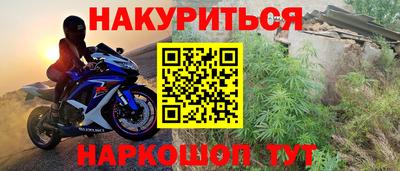крисы Лесосибирск