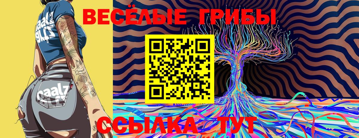 Верхняя Пышма  Галлюциногенные грибы прущие грибы  Вход с VPN 